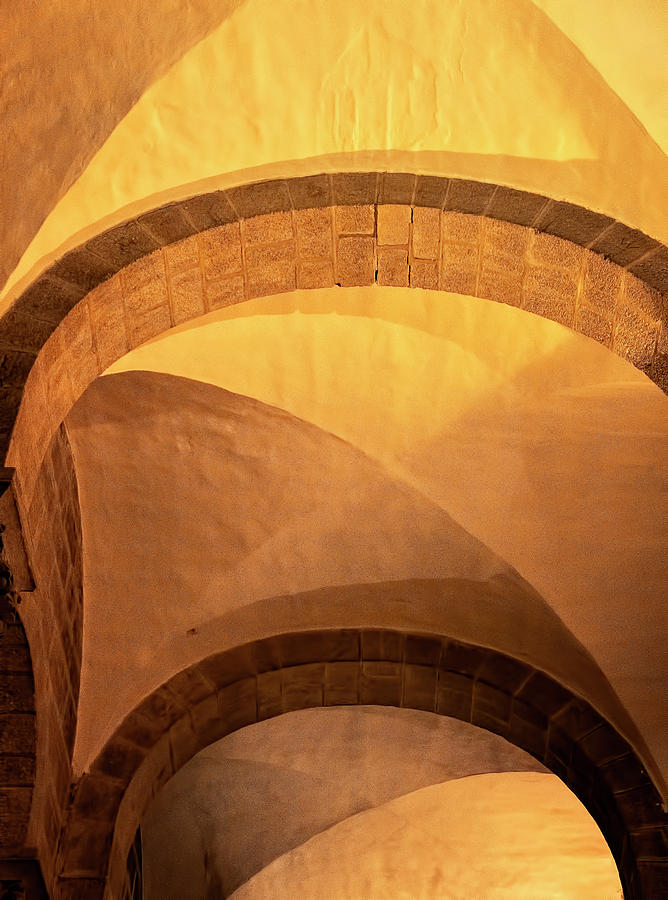 Santiago Cathedral Arches Photograph by Tom Singleton
