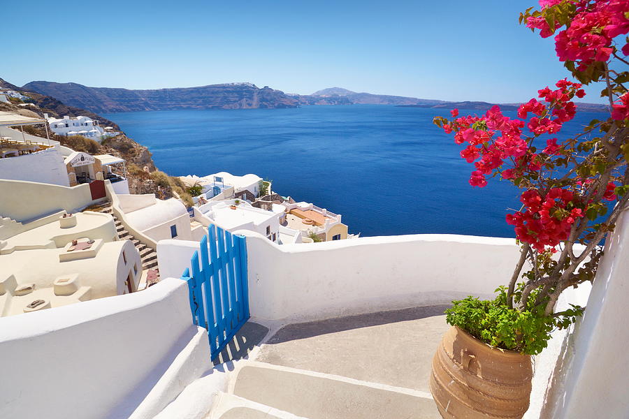 Santorini Landscape With Blooming Photograph by Jan Wlodarczyk - Fine ...