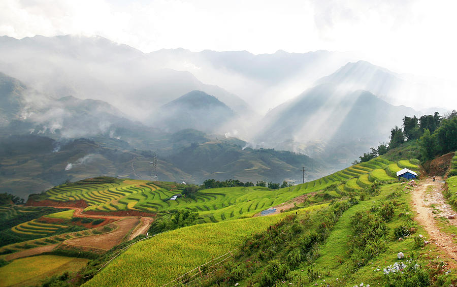 Sapa Vietnam Photograph by Copyright By Ndmt