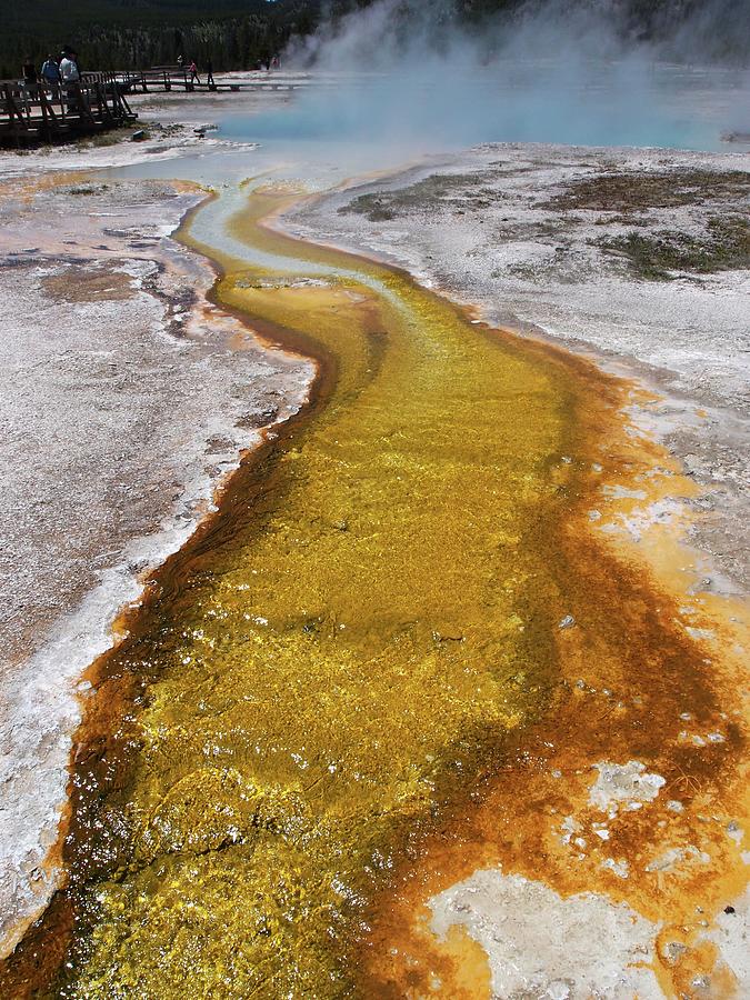 Yellowstone National Park Photograph - Sapphire Pool Outflow by Photograph By Michael Schwab