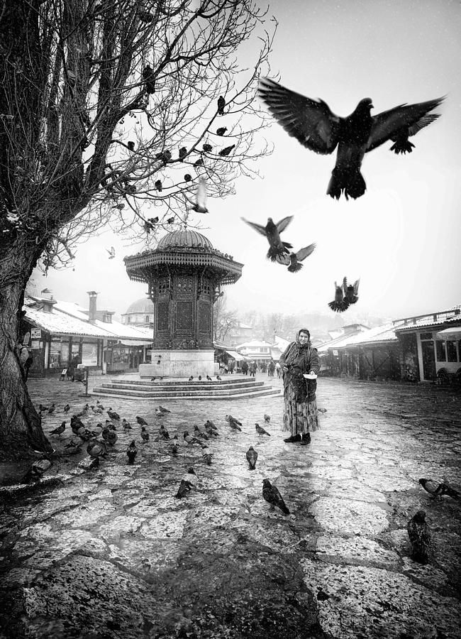 Sarajevo II Photograph by Petar Lupic