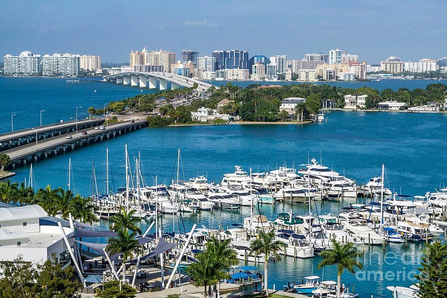  Sarasota Skyline  Photograph by Lynne Pedlar