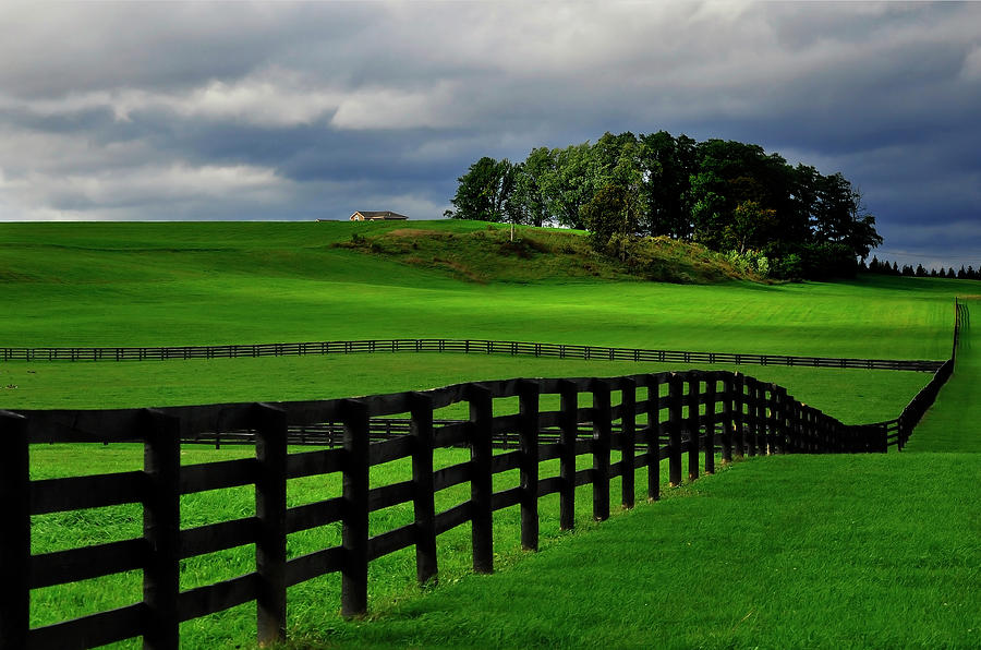 Saratoga County - Wooden Horse Fences Photograph by Shobeir Ansari
