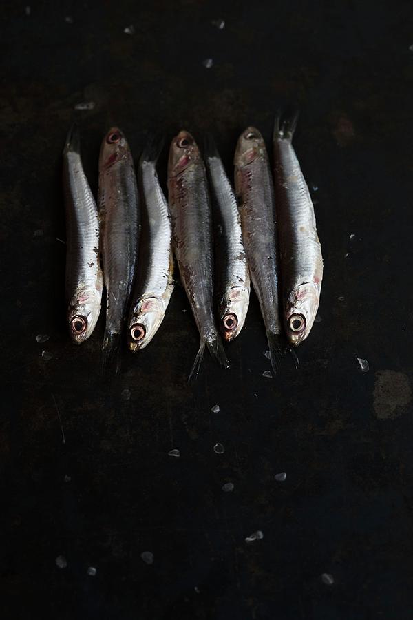 Sardines In A Row On A Metal Sheet Photograph by Tina Engel