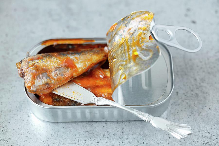 Sardines In Tomato Sauce In A Tin Photograph by Rua Castilho