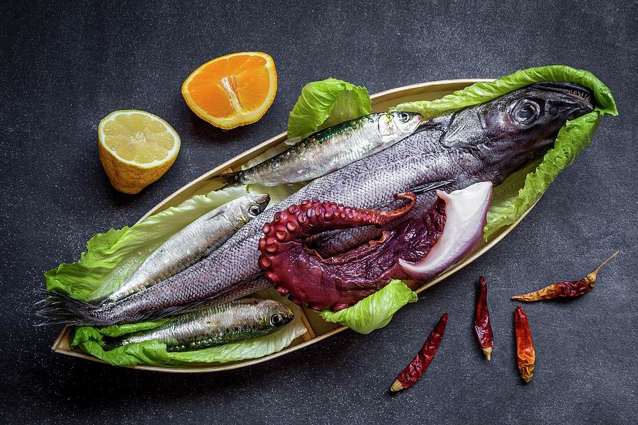 Sardines, Pike And Octopus On A Serving Platter Photograph by Eduardo Lopez Coronado