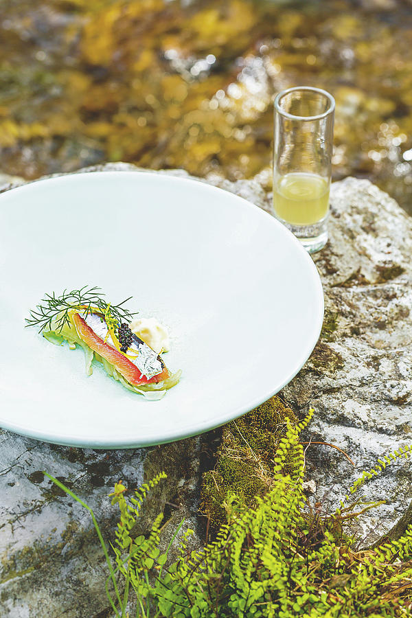 Sardines With Fennel, Smoked Milk Cream And A Glass Of Fennel Stock, Restaurant Hisa Franko, Kobarid, Slovenia Photograph by Jalag / Andrea Di Lorenzo