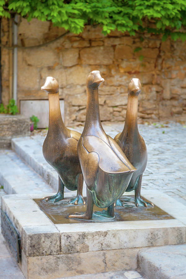 Statue Photograph - Sarlats Famous Geese by W Chris Fooshee Statue Photograph - Sarlats Famous Geese by W Chris Fooshee