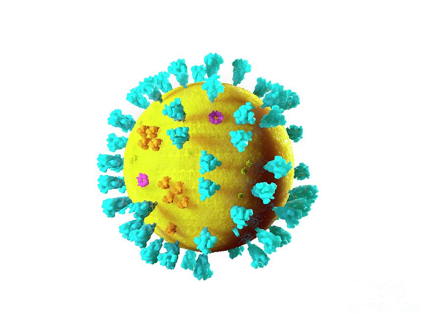 Sars Virus Particle Photograph by Ramon Andrade 3dciencia/science Photo ...