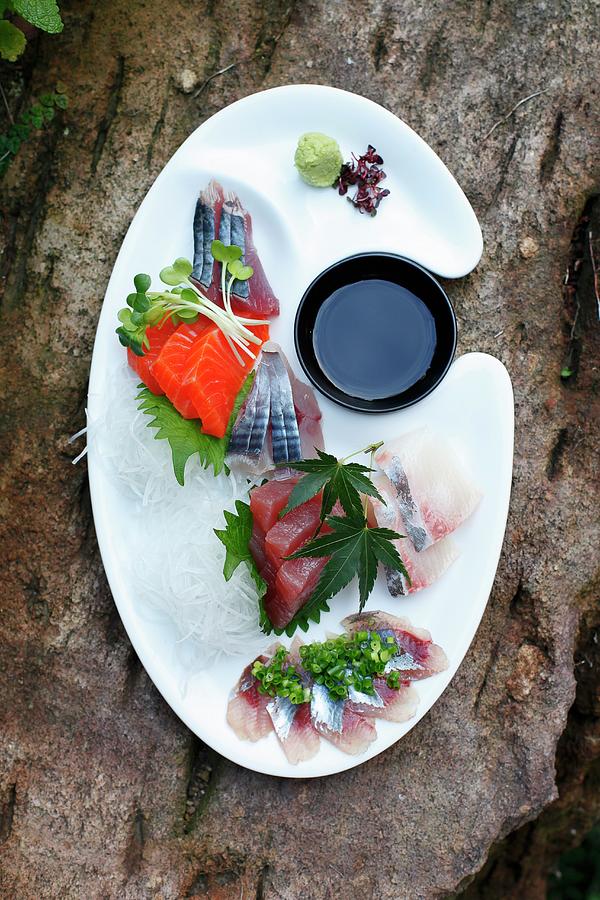 Sashimi With Soy Sauce And Wasabi japan Photograph by Rika Manabe Photography