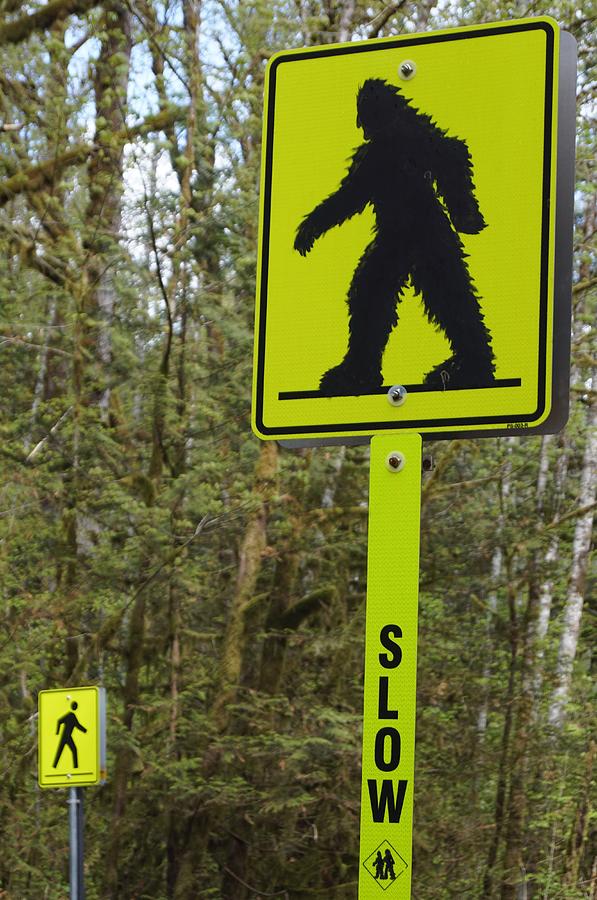 Sasquatch Crossing Photograph by Fred Bailey