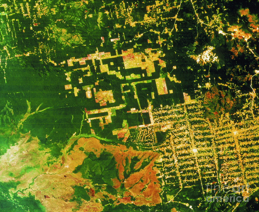 Satellite Image Of Deforestation In Brazil Photograph by Geospace/science Photo Library