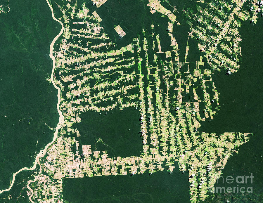 Satellite View Of Deforestation In Photograph by Satellite Earth Art