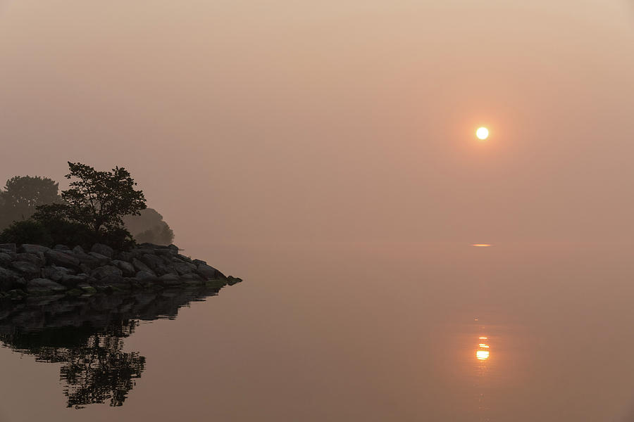Satiny Pinks and Rough Grays - Soft Fog Sunrise on the Lake Photograph by Georgia Mizuleva