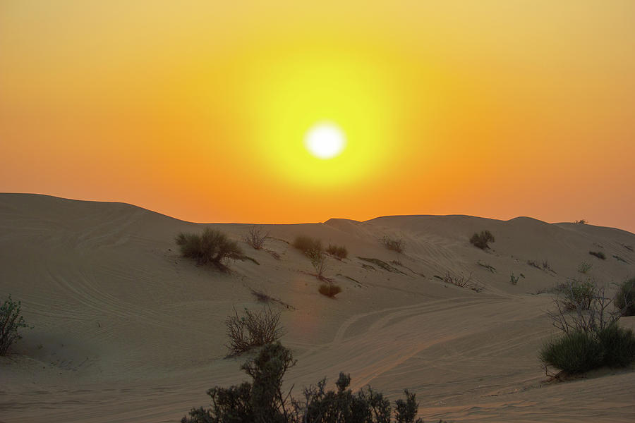 Saudi Desert Sunset Photograph by Rocco Silvestri