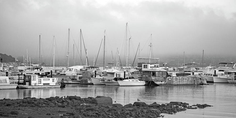Sausalito California Harbor Morning Bw Photograph