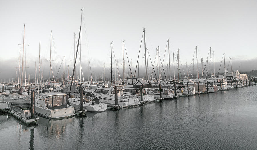 Sausalito Photograph - Sausalito California Peaceful Harbor by Betsy Knapp Sausalito Photograph - Sausalito California Peaceful Harbor by Betsy Knapp