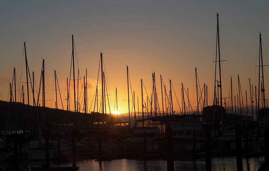 Sausalito California Sunrise Gathering Photograph