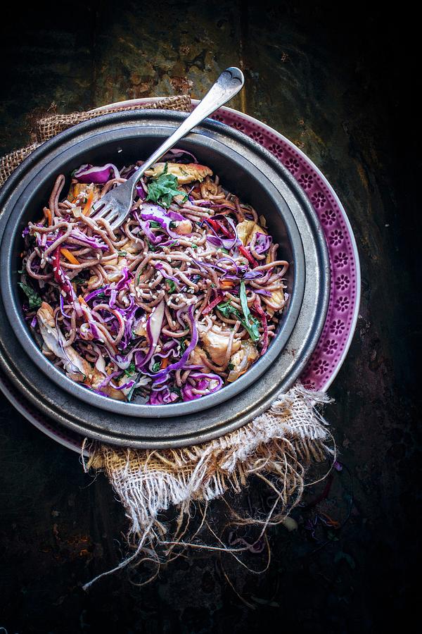 Sauteed Noodles With Spicy Red Cabbage And Chicken Photograph by Ghosh