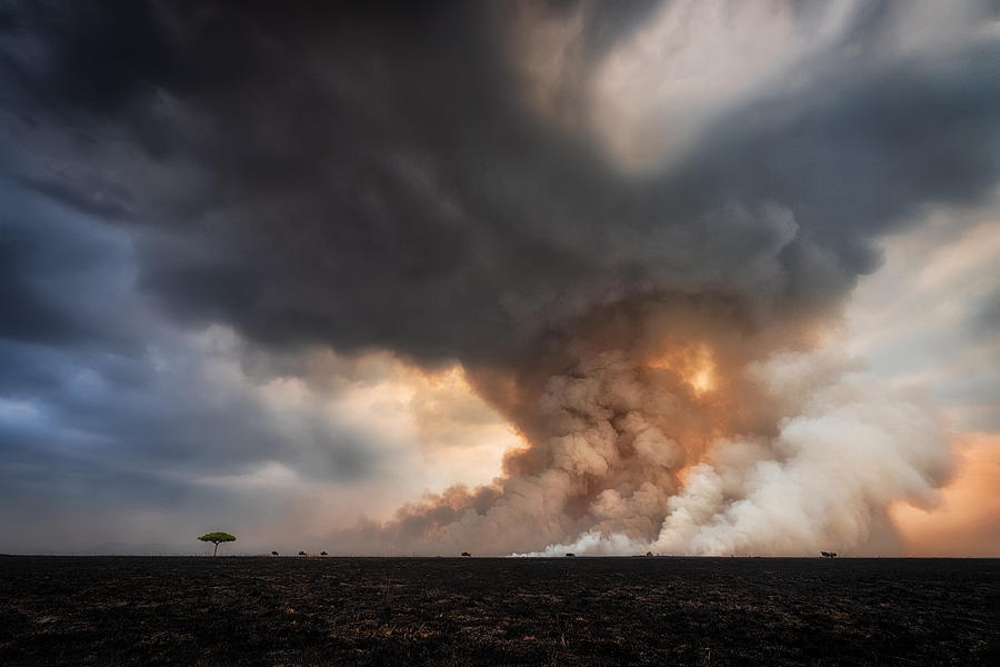 Nature Photograph - Savannah Burning by Roberto Marchegiani