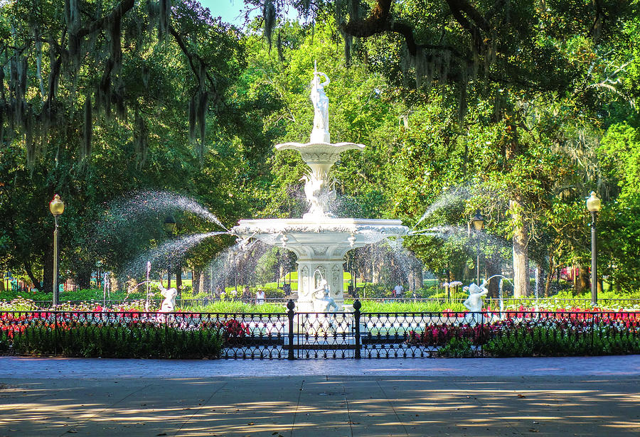 Savannah Forsyth Park Photograph by Dan Sproul