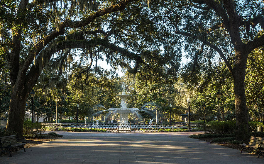 Savannah Fountain Photograph by Framing Places