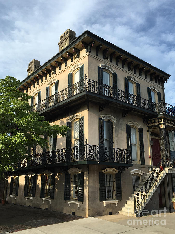 Savannah by Paul Wilford Savannah by Paul Wilford