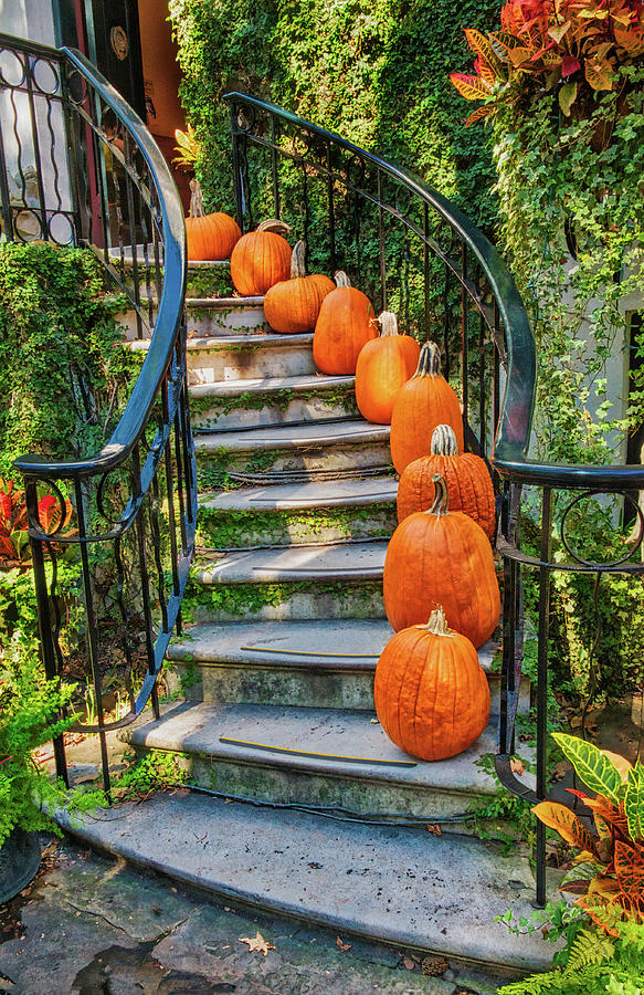 Savannah Pumpkin Steps Photograph by Gary Slawsky