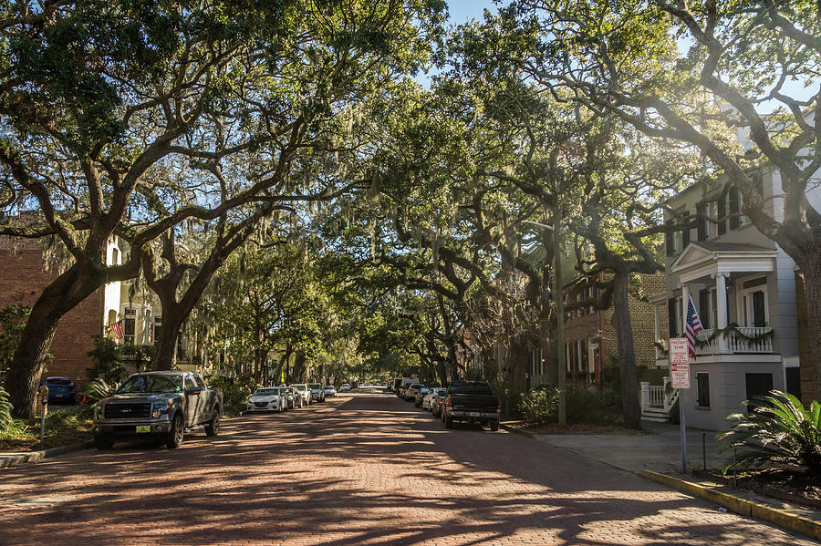 Savannah Residential Photograph by Framing Places
