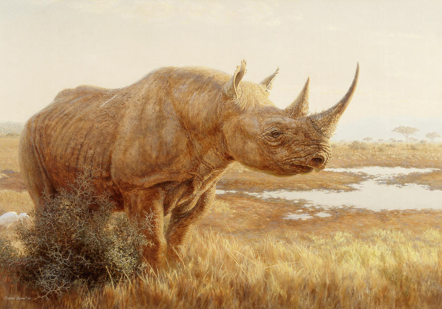Rhino Painting - Savannah Sunset by Richard Burns