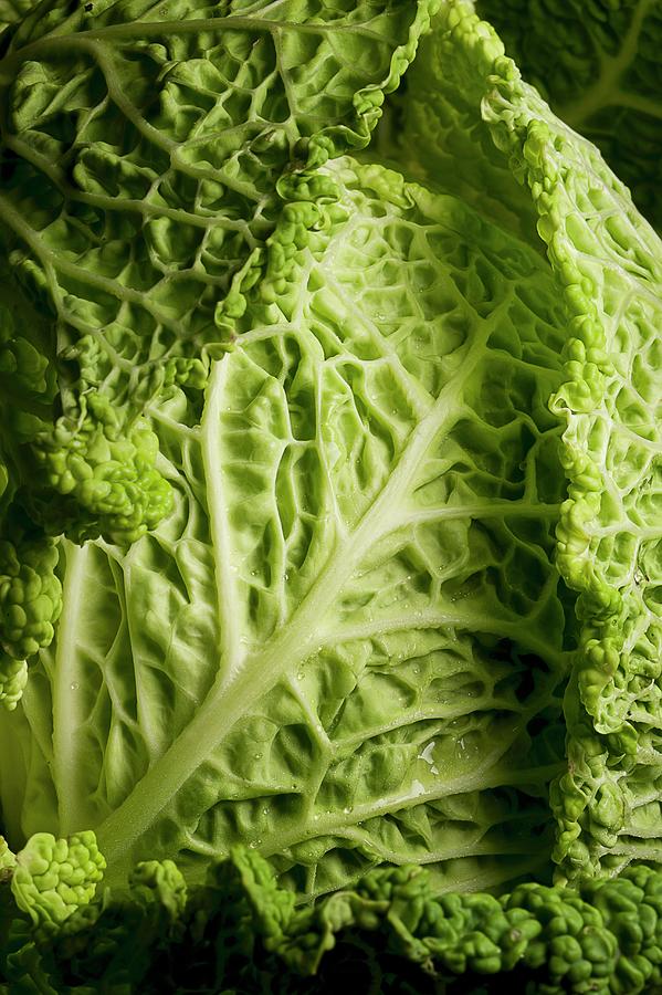 Savoy Cabbage detail Photograph by Elio Lombardo