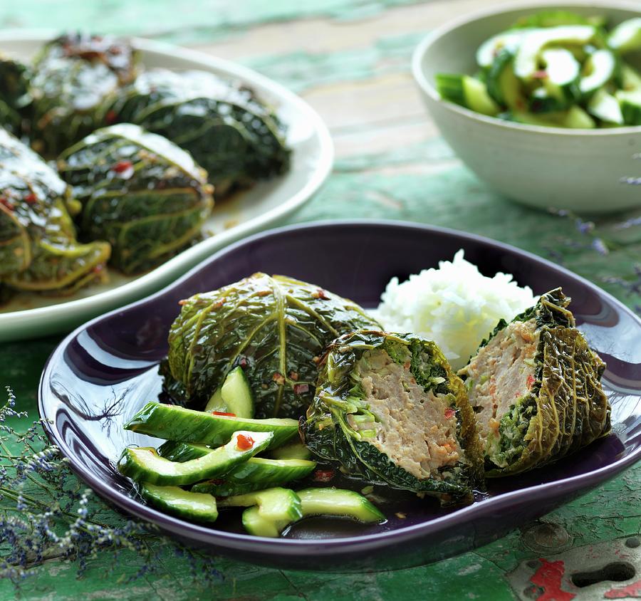 Savoy Cabbage Dolmas With Cucumber Salad Photograph by Martin Dyrlv
