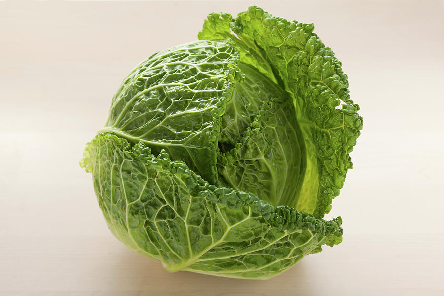 Savoy Cabbage Photograph by Eising Studio