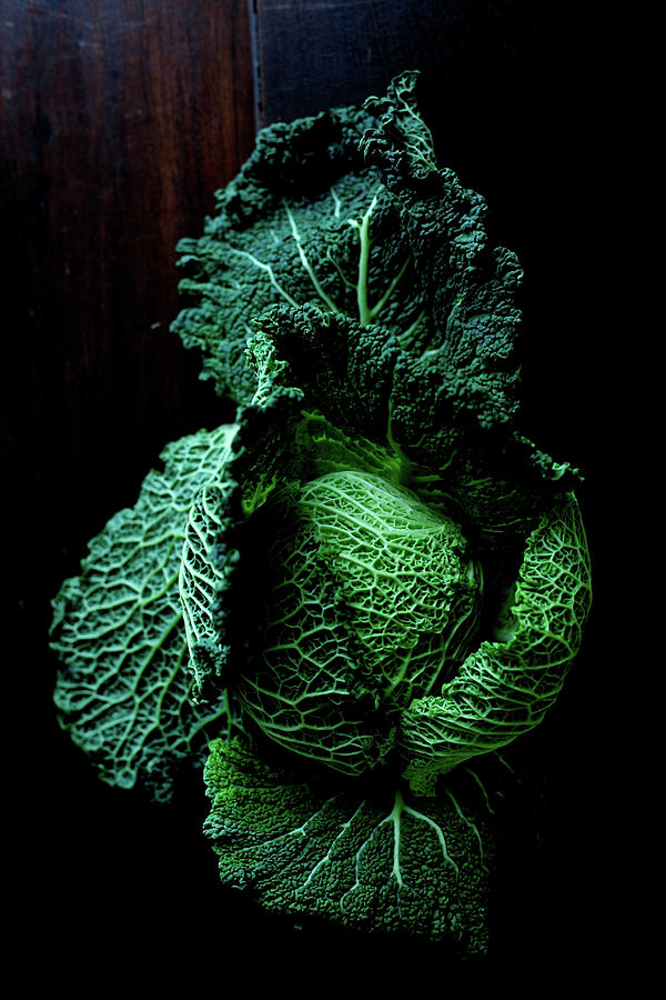 Savoy Cabbage Photograph by Ingwervanille