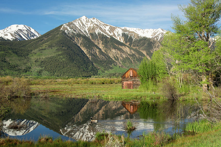 Sawatch Cabin - Spring Photograph by Aaron Spong