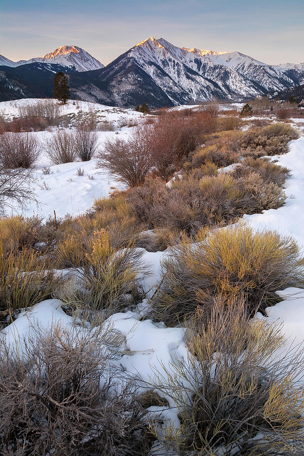 Sawatch Winter Sunrise by Aaron Spong Sawatch Winter Sunrise by Aaron Spong