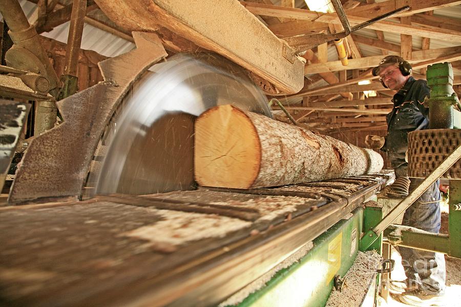 Saw Photograph - Sawmill by Bjorn Svensson/science Photo Library