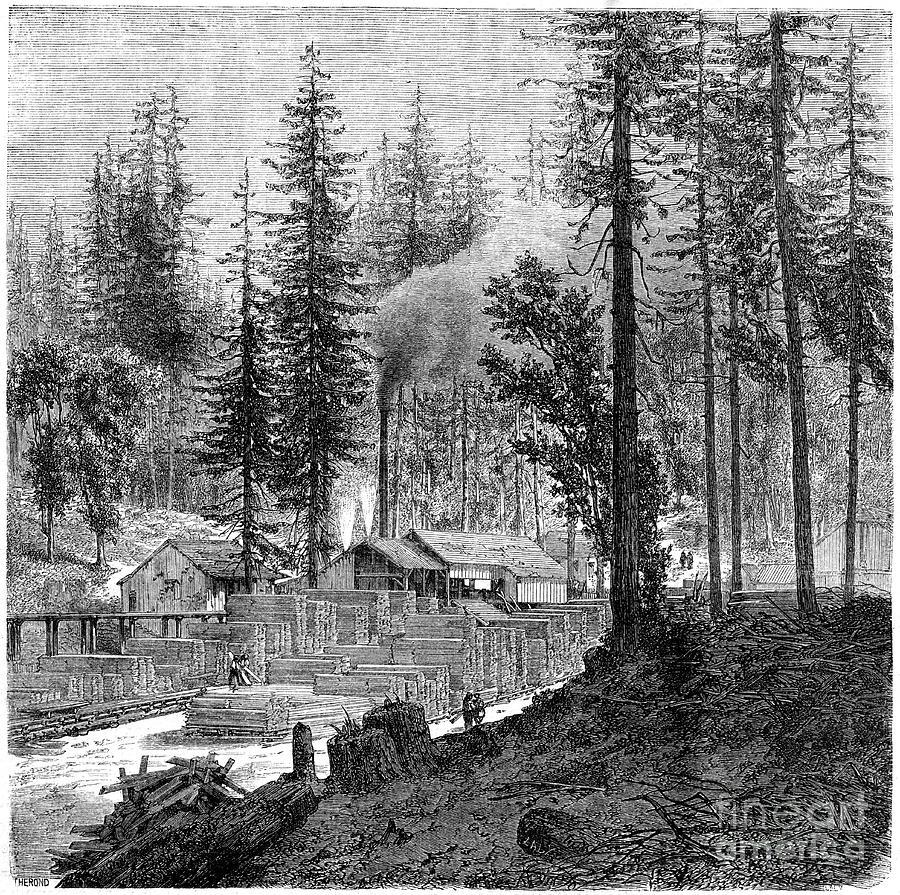 Sawmill, California, 19th Drawing by Print Collector