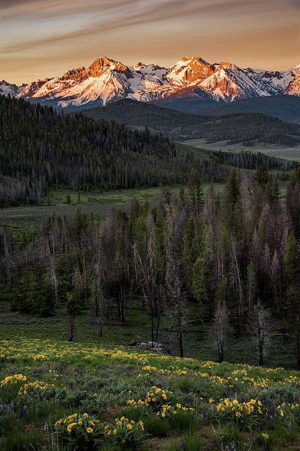 Sawtooth Mountain Morning Photograph by Link Jackson