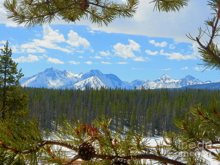 Sawtooth Mountains In The Beautiful Valley Stanley Idaho Photograph by 