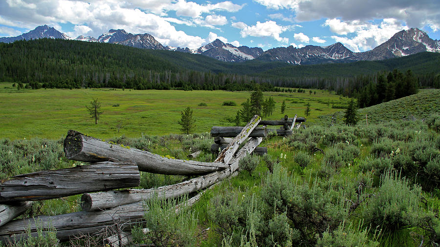 Sawtooth Range and 1975 Pole Fence Photograph by Ed Riche