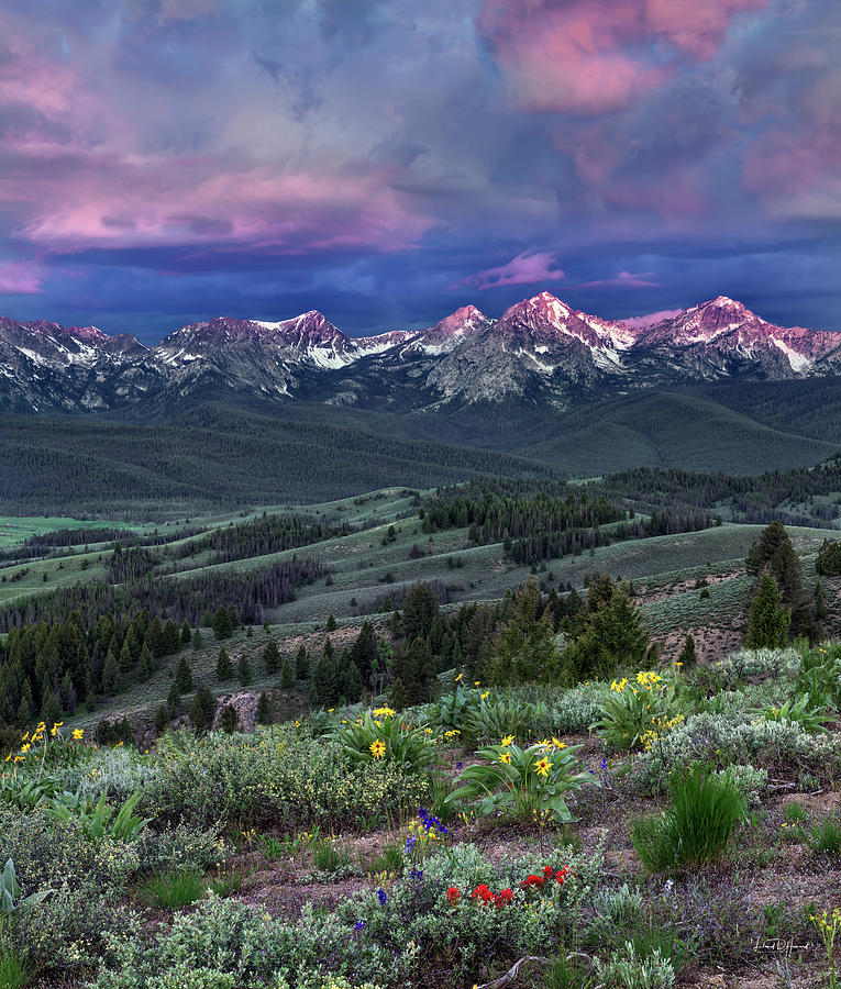 Mountain Photograph - Sawtooth Sunrise by Leland D Howard