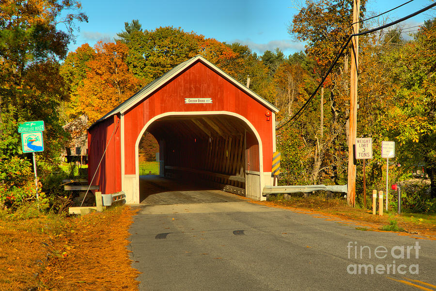Sawyers Crossing Road Covered Bridge Photograph by Adam Jewell