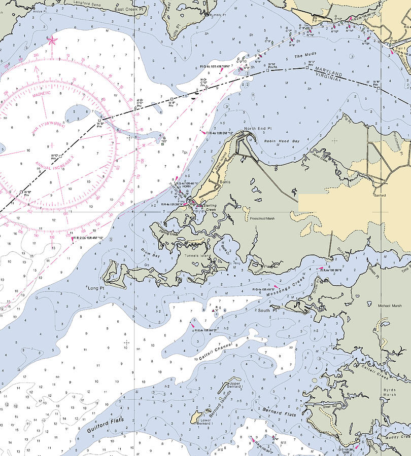 Saxis Islandvirginia Nautical Chart Mixed Media by Sea Koast Pixels