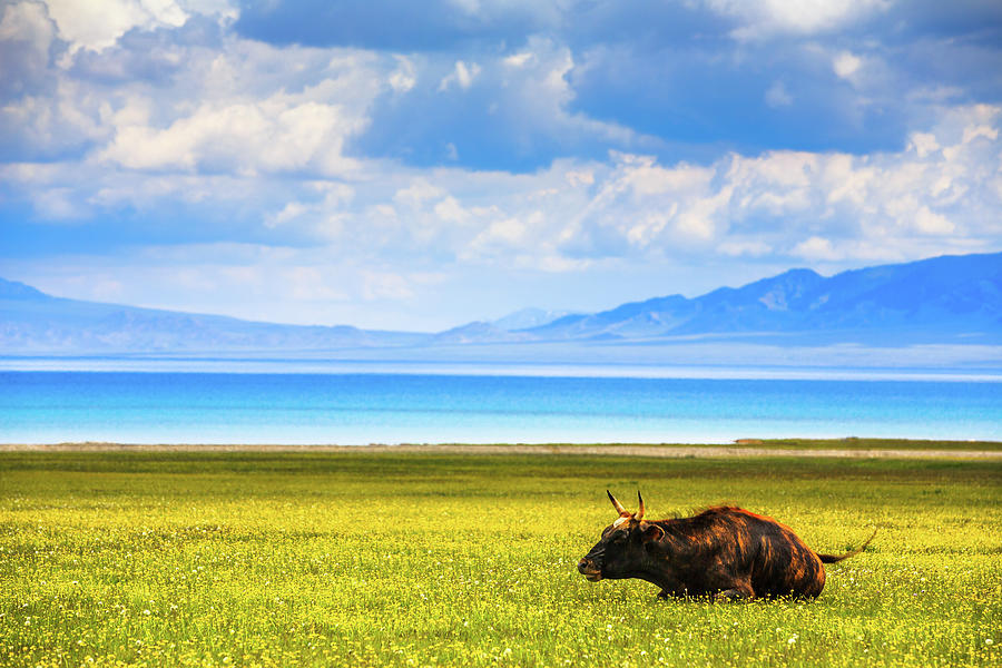 Sayram Lake, Xinjiang China by Feng Wei Photography