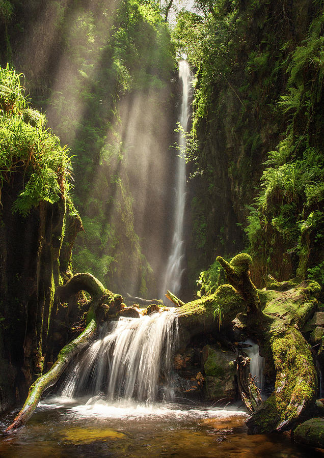 Scale Force Rays Photograph by Matthew Light - Fine Art America