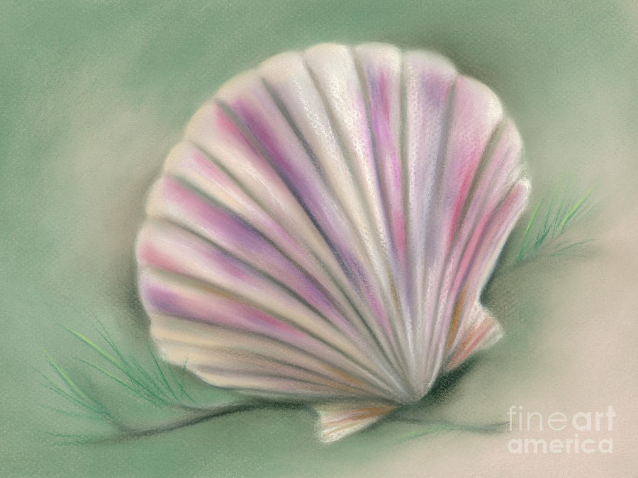 Scallop Shell with Pine Twigs Painting by MM Anderson