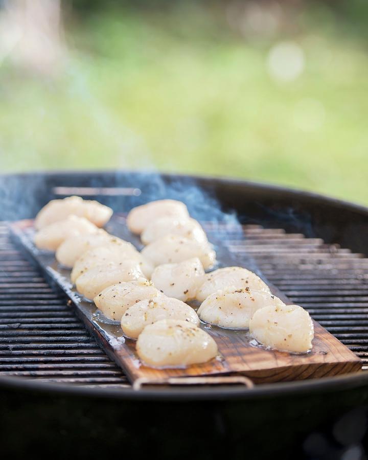 Scallops Being Grilled On A Cedar Wood Plank Photograph by Jo Kirchherr