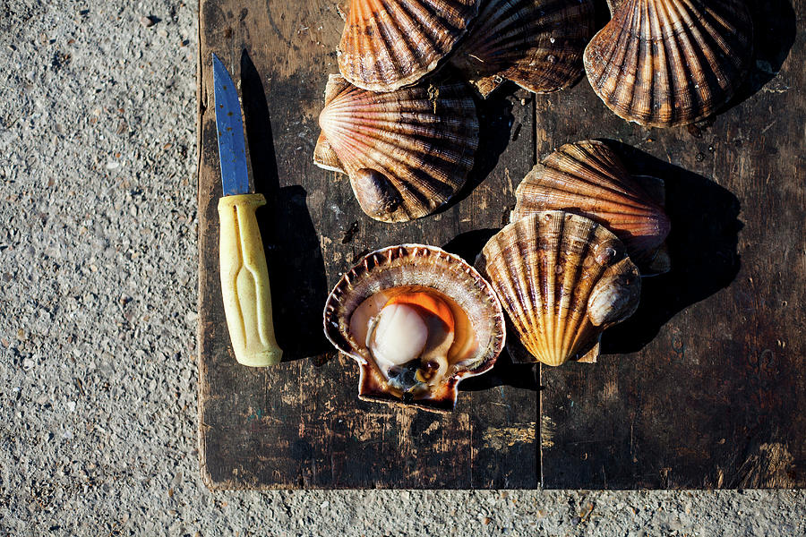Scallops On A Wooden Board Photograph by Lara Jane Thorpe