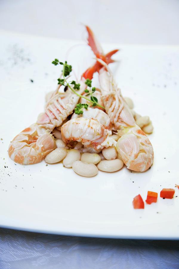 Scampo Con Fagioli Di Sorana langoustine With White Beans, Italy Photograph by Michael Wissing